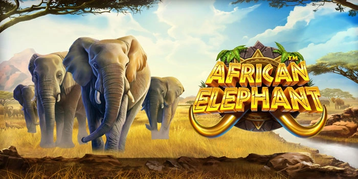 Teknik Jitu Mencapai Maxwin Slot African Elephant Dengan Sangat Mudah